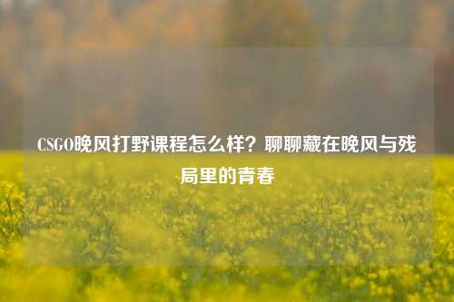 CSGO晚风打野课程怎么样？聊聊藏在晚风与残局里的青春