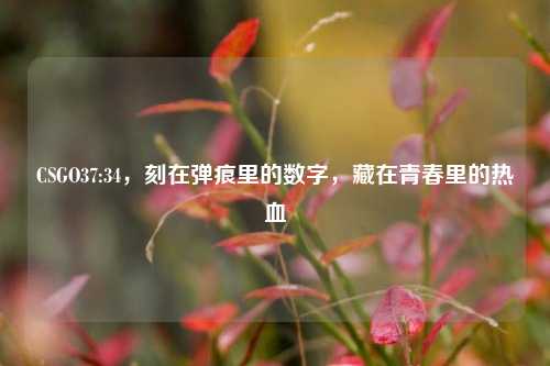 CSGO37:34，刻在弹痕里的数字，藏在青春里的热血