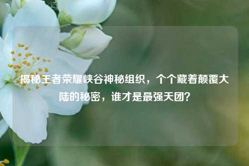 揭秘王者荣耀峡谷神秘组织，个个藏着颠覆大陆的秘密，谁才是最强天团？