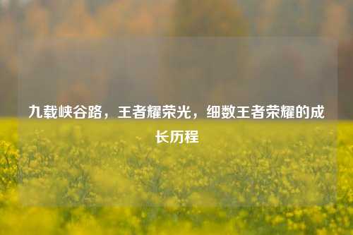 九载峡谷路，王者耀荣光，细数王者荣耀的成长历程