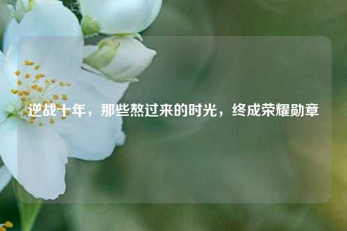 逆战十年，那些熬过来的时光，终成荣耀勋章