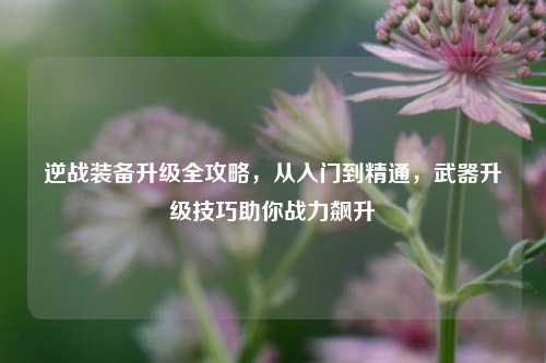 逆战装备升级全攻略,从入门到精通,武器升级技巧助你战力飙升