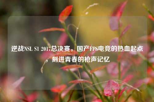 逆战NSL S1 2017总决赛，国产FPS电竞的热血起点，刻进青春的枪声记忆