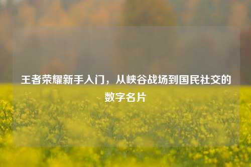 王者荣耀新手入门，从峡谷战场到国民社交的数字名片