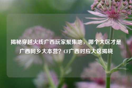 揭秘穿越火线广西玩家聚集地，哪个大区才是广西同乡大本营？CF广西对应大区揭晓