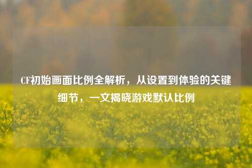 CF初始画面比例全解析,从设置到体验的关键细节,一文揭晓游戏默认比例