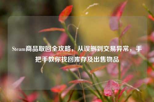 Steam商品取回全攻略，从误删到交易异常，手把手教你找回库存及出售物品