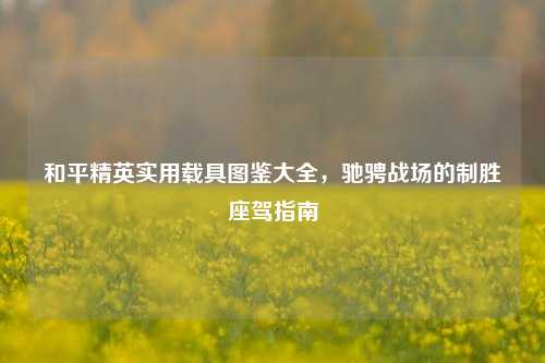和平精英实用载具图鉴大全，驰骋战场的制胜座驾指南