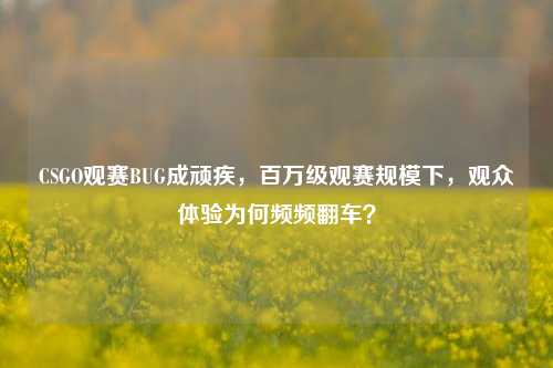 CSGO观赛BUG成顽疾，百万级观赛规模下，观众体验为何频频翻车？