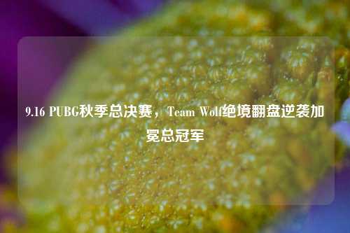 9.16 PUBG秋季总决赛，Team Wolf绝境翻盘逆袭加冕总冠军