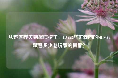 从野区莽夫到微博梗王，CA722航班载回的MLXG，藏着多少老玩家的青春？