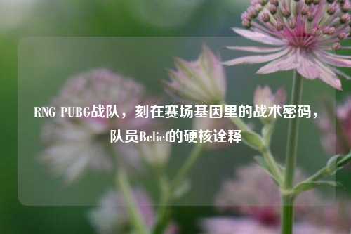 RNG PUBG战队，刻在赛场基因里的战术密码，队员Belief的硬核诠释