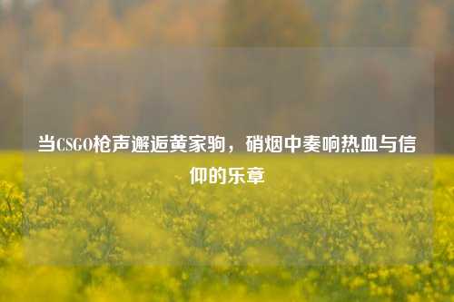 当CSGO枪声邂逅黄家驹，硝烟中奏响热血与信仰的乐章