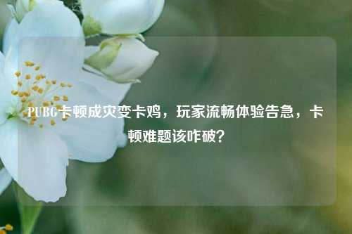 PUBG卡顿成灾变卡鸡，玩家流畅体验告急，卡顿难题该咋破？