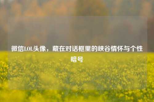 微信LOL头像，藏在对话框里的峡谷情怀与个性暗号
