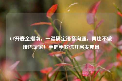 CF开麦全指南,一键搞定语音沟通,再也不做哑巴玩家!手把手教你开启麦克风