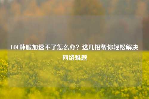 LOL韩服加速不了怎么办?这几招帮你轻松解决网络难题