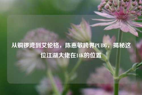 从铜锣湾到艾伦格，陈惠敏跨界PUBG，揭秘这位江湖大佬在14K的位置