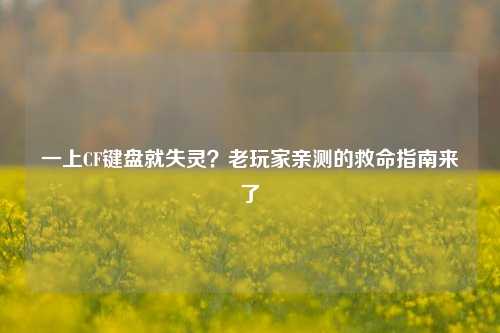 一上CF键盘就失灵？老玩家亲测的救命指南来了