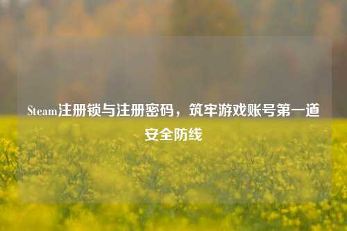 Steam注册锁与注册密码，筑牢游戏账号第一道安全防线