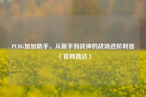 PUBG加加助手,从新手到战神的战场进阶利器(官网直达)