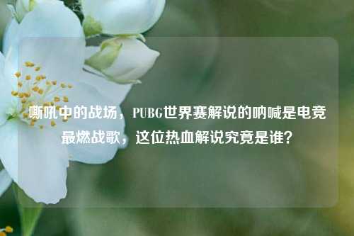 嘶吼中的战场，PUBG世界赛解说的呐喊是电竞最燃战歌，这位热血解说究竟是谁？