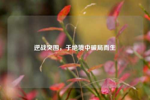 逆战突围,于绝境中破局而生