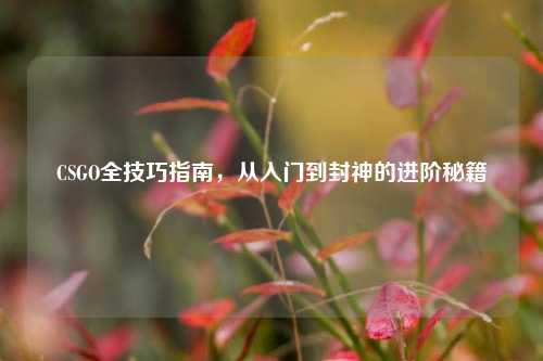 CSGO全技巧指南,从入门到封神的进阶秘籍
