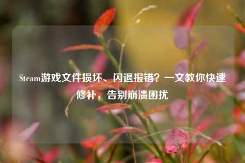 Steam游戏文件损坏、闪退报错？一文教你快速修补，告别崩溃困扰