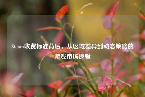 Steam收费标准背后，从区域差异到动态策略的游戏市场逻辑