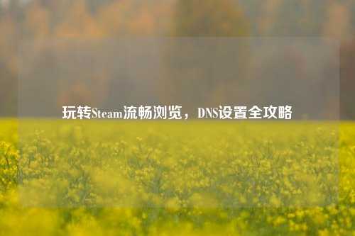 玩转Steam流畅浏览，DNS设置全攻略