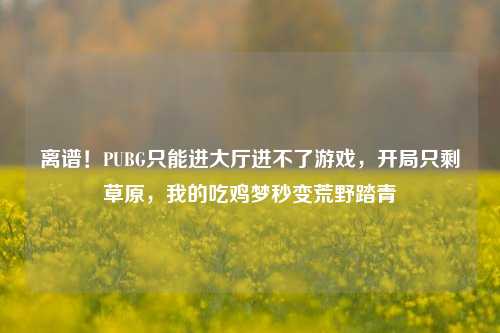 离谱！PUBG只能进大厅进不了游戏，开局只剩草原，我的吃鸡梦秒变荒野踏青