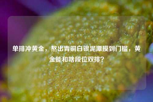 单排冲黄金，熬出青铜白银泥潭摸到门槛，黄金能和啥段位双排？