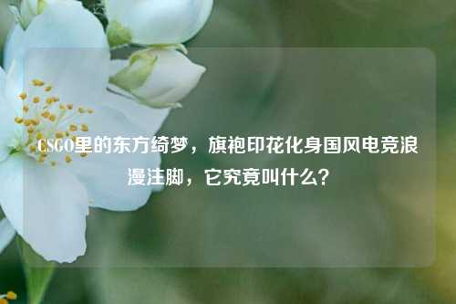 CSGO里的东方绮梦，旗袍印花化身国风电竞浪漫注脚，它究竟叫什么？