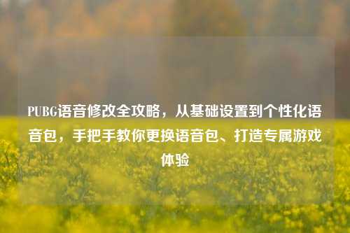 PUBG语音修改全攻略，从基础设置到个性化语音包，手把手教你更换语音包、打造专属游戏体验