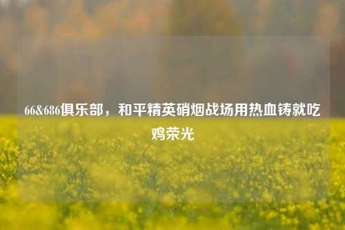 66&686俱乐部,和平精英硝烟战场用热血铸就吃鸡荣光