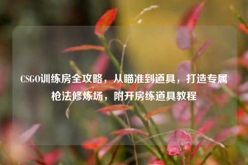 CSGO训练房全攻略,从瞄准到道具,打造专属枪法修炼场,附开房练道具教程