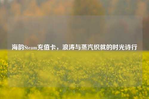 海韵Steam充值卡,浪涛与蒸汽织就的时光诗行