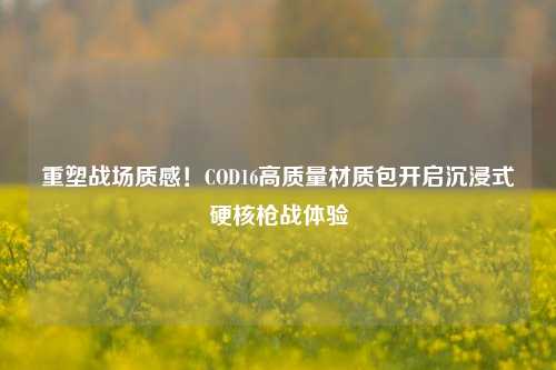 重塑战场质感！COD16高质量材质包开启沉浸式硬核枪战体验