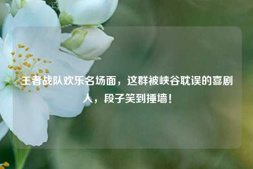 王者战队欢乐名场面,这群被峡谷耽误的喜剧人,段子笑到捶墙!