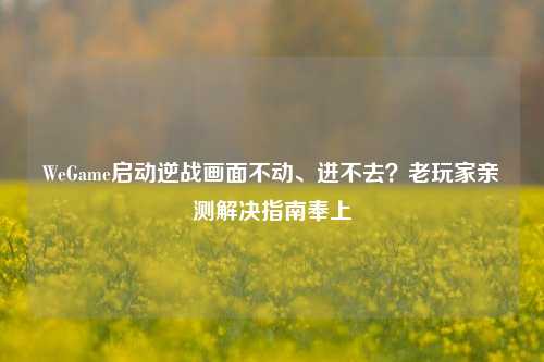 WeGame启动逆战画面不动、进不去？老玩家亲测解决指南奉上