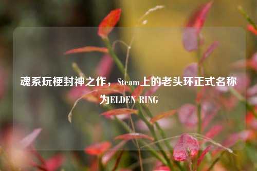 魂系玩梗封神之作，Steam上的老头环正式名称为ELDEN RING
