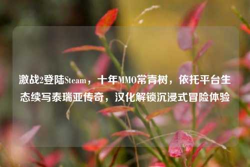 激战2登陆Steam,十年MMO常青树,依托平台生态续写泰瑞亚传奇,汉化解锁沉浸式冒险体验