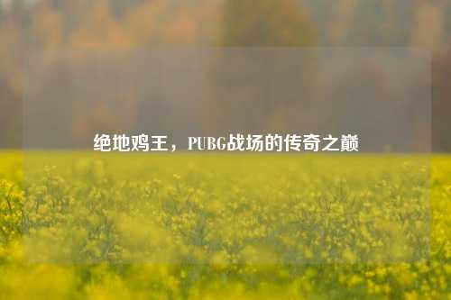 绝地鸡王,PUBG战场的传奇之巅