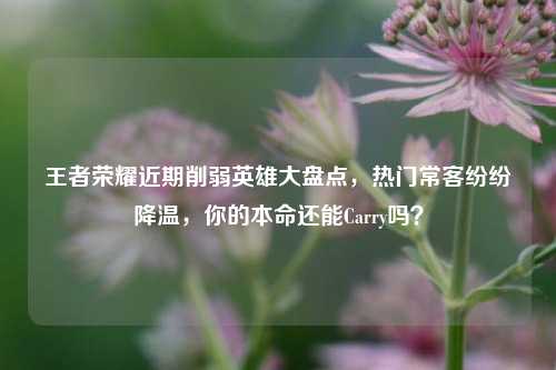 王者荣耀近期削弱英雄大盘点,热门常客纷纷降温,你的本命还能Carry吗?