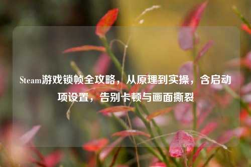 Steam游戏锁帧全攻略，从原理到实操，含启动项设置，告别卡顿与画面撕裂