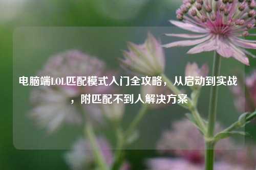 电脑端LOL匹配模式入门全攻略，从启动到实战，附匹配不到人解决方案