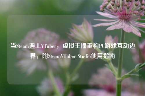 当Steam遇上VTuber，虚拟主播重构PC游戏互动边界，附SteamVTuber Studio使用指南