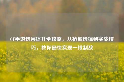 CF手游伤害提升全攻略,从枪械选择到实战技巧,教你最快实现一枪制敌