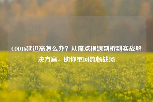 COD16延迟高怎么办？从痛点根源剖析到实战解决方案，助你重回流畅战场